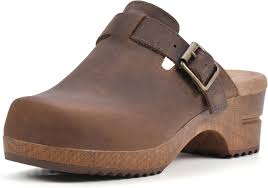 Clog Shoes